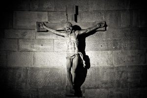 Quae utilitas in sanguine meo ?