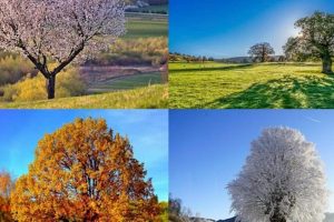 Que nous apprend la chaleur de ces jours-ci ?